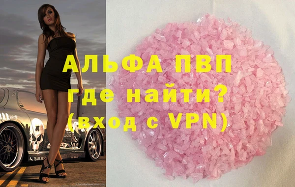 стаф Гусев