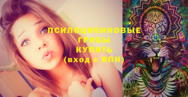 прущая мука Тихвин