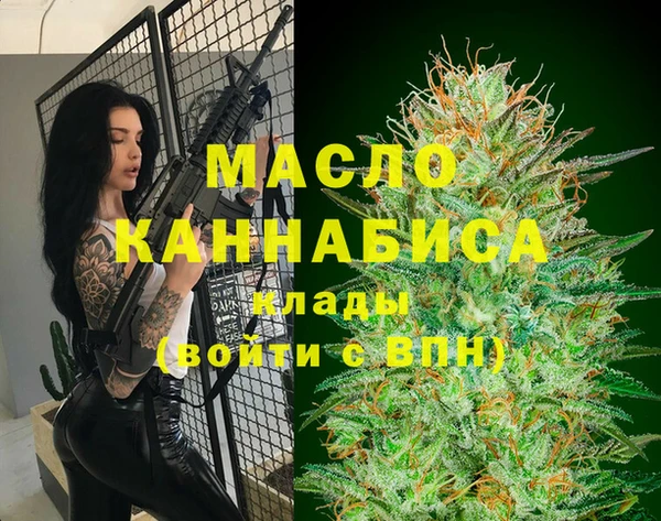 гашик Дмитров