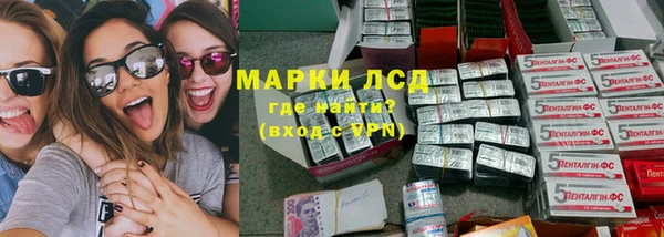 стаф Гусев