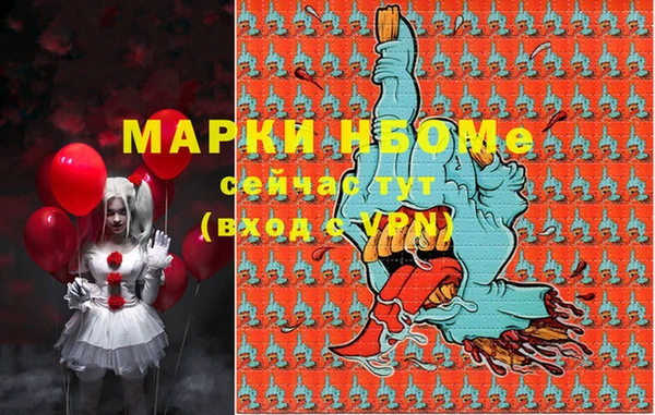 стаф Гусев