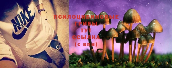 трава Дмитровск