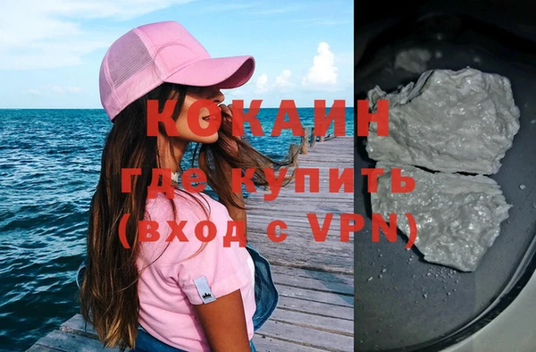 прущие грибы Туринск