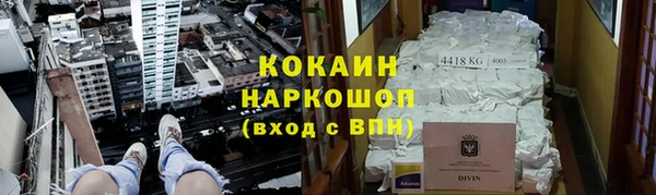 стаф Гусев