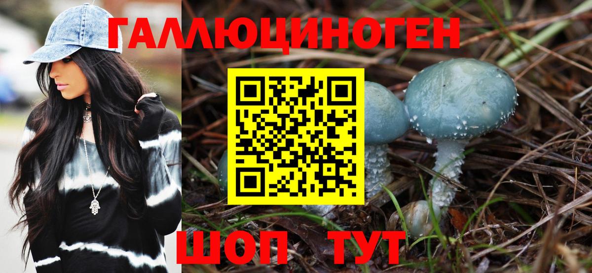 Псилоцибиновые грибы мицелий Кингисепп