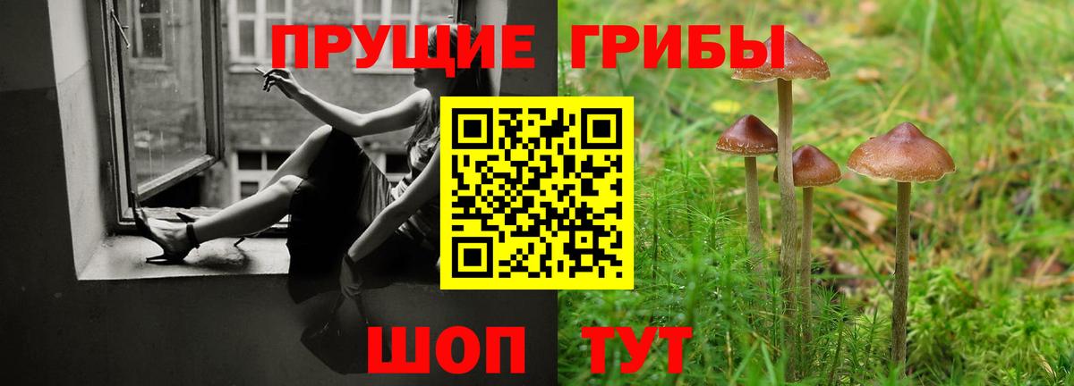 Псилоцибиновые грибы MAGIC MUSHROOMS  Кингисепп 