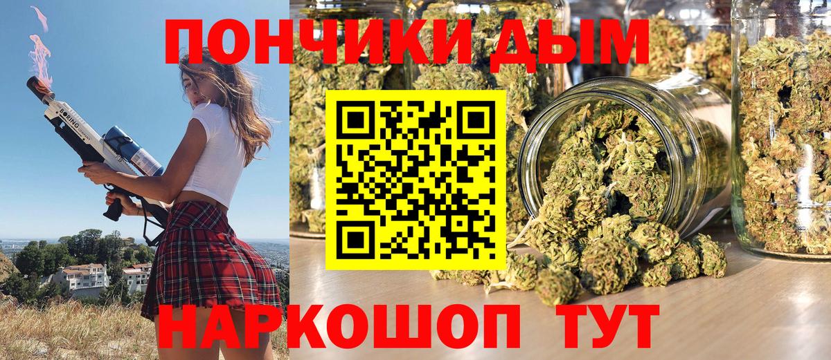 Бошки Шишки семена  Вход с VPN  Канабис Amnesia  МАРИХУАНА конопля  Кингисепп 